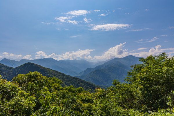 [高雄]網子山、鳴海下山、鳴海山2585494