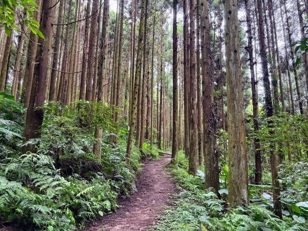 白蘭溪古道2846939