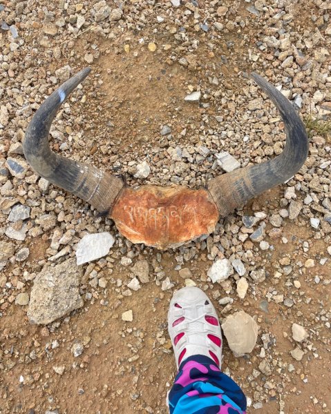 川藏318熱門的卡點-尼瑪-當惹擁措-大地之樹-雅丹地貌聖象天門2905912