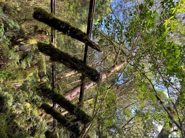 太平山運材軌道見晴線