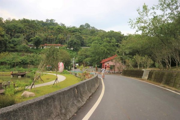 〔南投魚池〕澀水森林環狀步道，田頂步道。我真的走入侏儸紀公園裡！！！原來摸黑下山是這種感覺！！！2264299