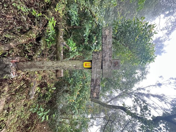 皇帝殿202603293035822