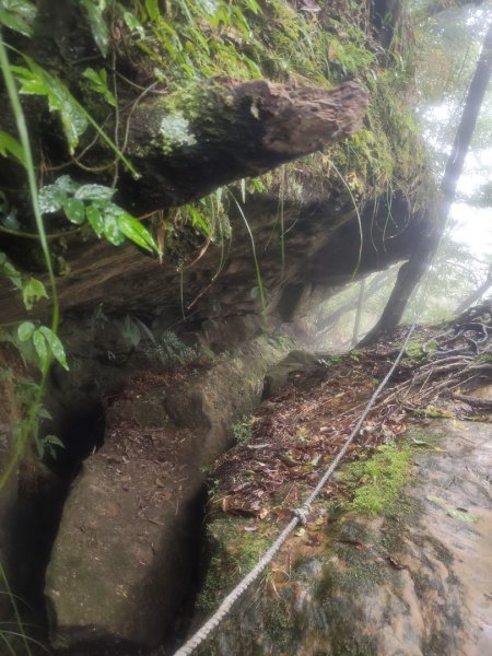 微笑山線：【五分山系】菁桐煤礦段2954744