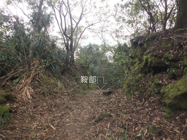 百二階古道+苕谷瀑布+逸仙山+泰和樓2734464