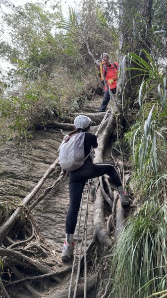 20260127小百岳三腳南山2990271