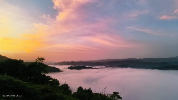 #鱷魚島雲海 #日出雲海 #火燒雲  #月光雲海 4/152761629