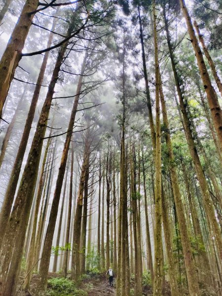 高島縱走