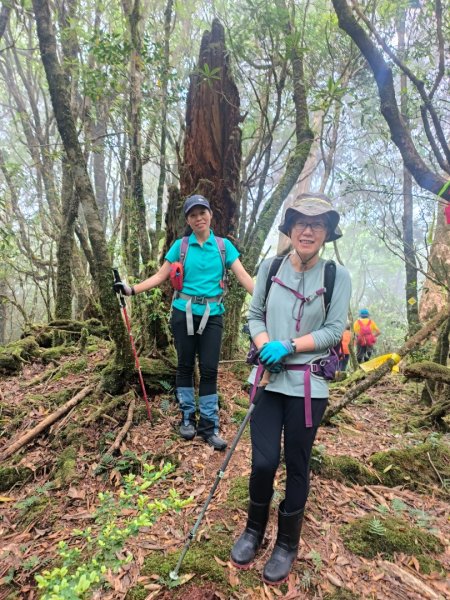 1130511夫拉縱走2500174