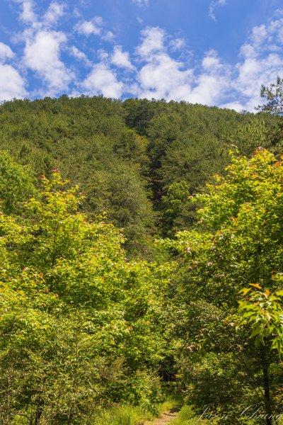 [百岳]大小劍未完2784255