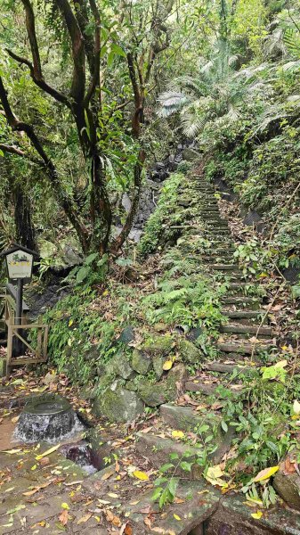 20250421聖人崙-百年古圳-大平尾山-平溪步道2783625