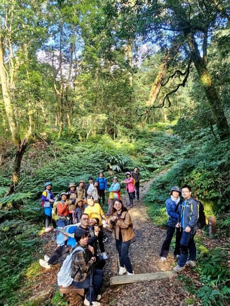 1141122特富野古道2945768