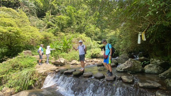 《十八份水圳步道 × 草山觀瀑吊橋 × 大屯瀑布 × 小隱潭瀑布｜陽明山夏日消暑健2856011