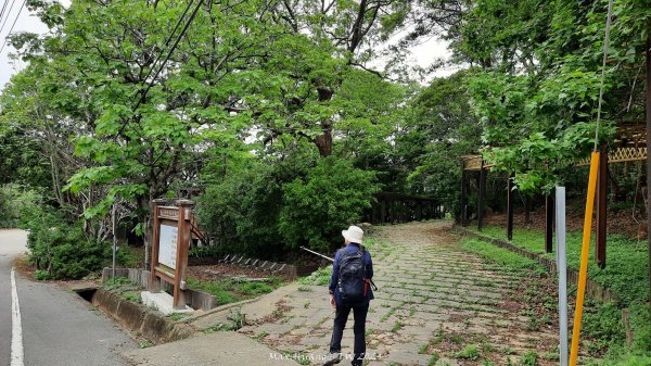 《苗栗》茶園古道｜三義登三義山慈濟山（三通嶺啟登）202404052472121