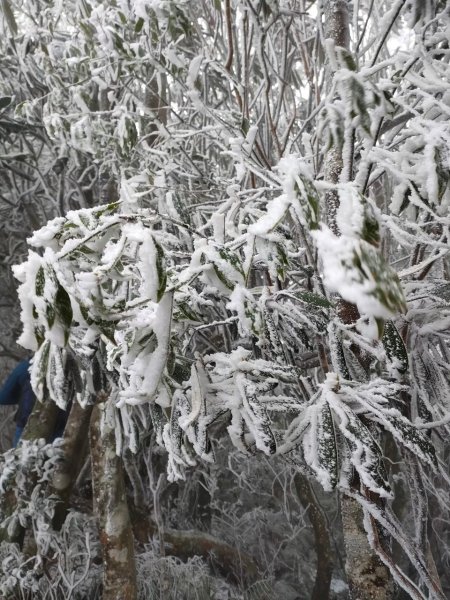 雪季北得拉曼2956382