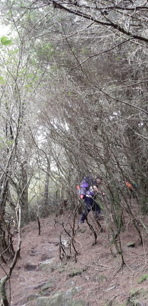 白姑大山之旅743516