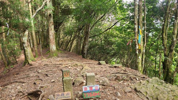 新竹五峰-油羅山2651276