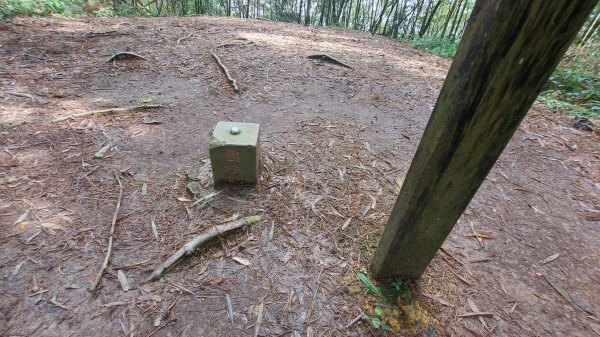 雲嘉九連峰1438948