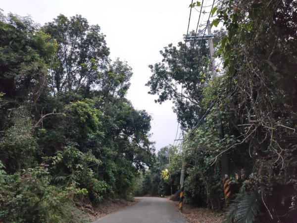 2023.12.23 高雄大崗山2834929