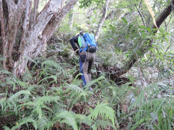 太魯閣布洛灣山月岩138983