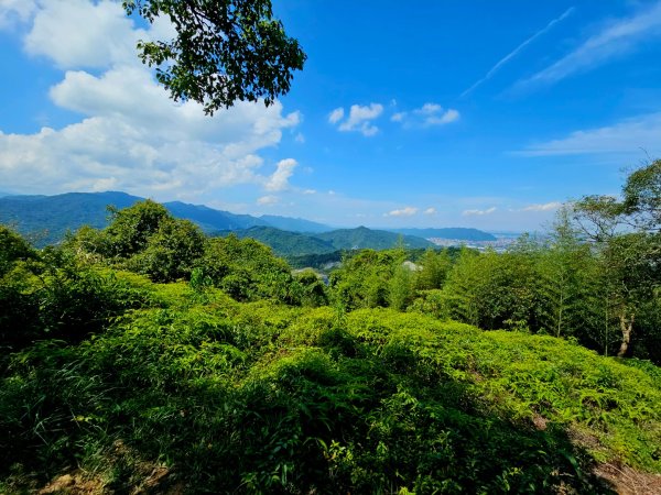 (天上山系)望月亭桐花-2025微笑山線大縱走尋寶集章任務2870341