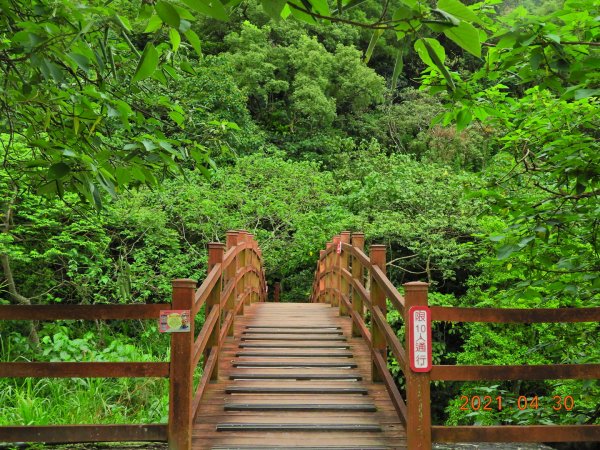 花蓮 撒固兒步道1368081