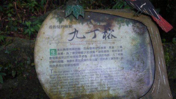 鯉魚山登山健行趣(小百岳89號)1689849