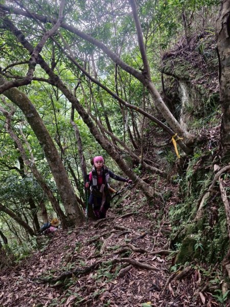微笑山⛰️線-大棟-二格山-五分山-天上山-鳶山💎12條步道完成💙2836449