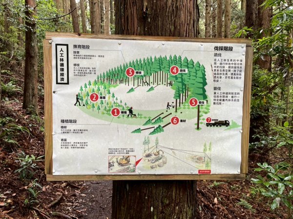 新竹 五峰 雪霸休閒農場 野馬瞰山步道2811511