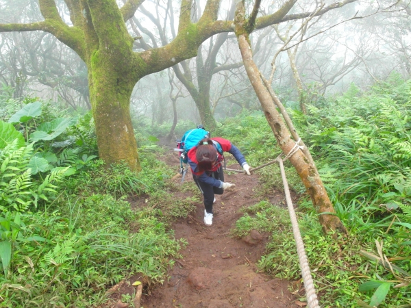 陽明山東西大縱走之半縱走79824