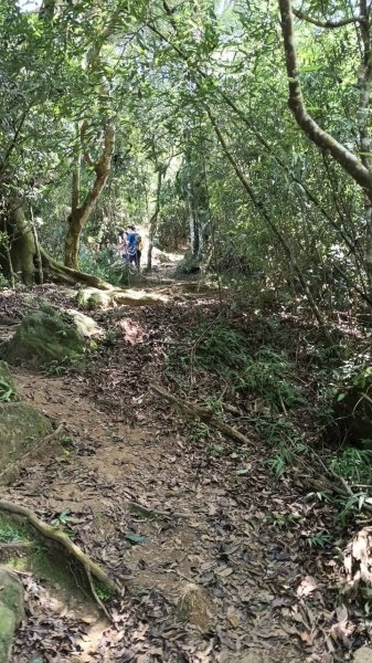 20251004 馬那邦山 - 珠湖 登山口2904919