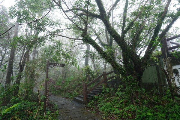 基隆 仁愛 紅淡山、金交椅山2714979