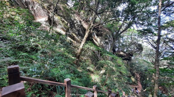 《新竹》斷崖神木｜北得拉曼步道小P繞202510172917513