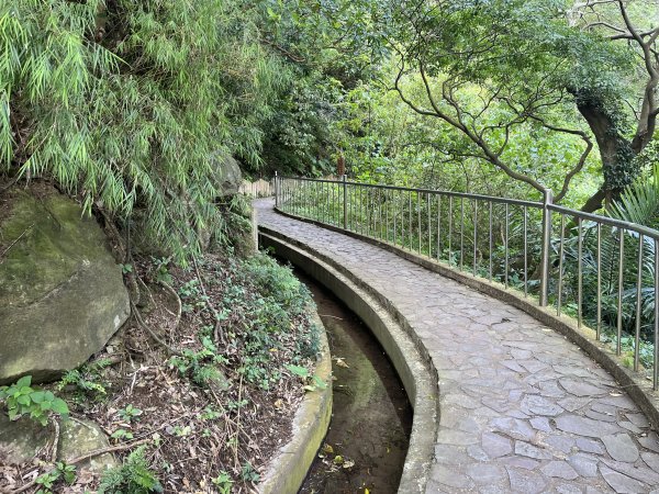 2024_1020 貴子坑親山步道2634259