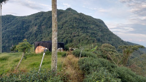 雲嘉九連峰1438908
