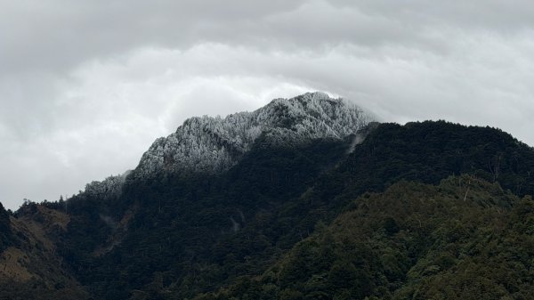 小關山 神池 2026 01/09 兩天一夜2982137