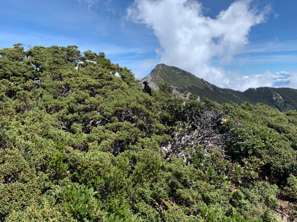 玉山東峰（百岳）1001293