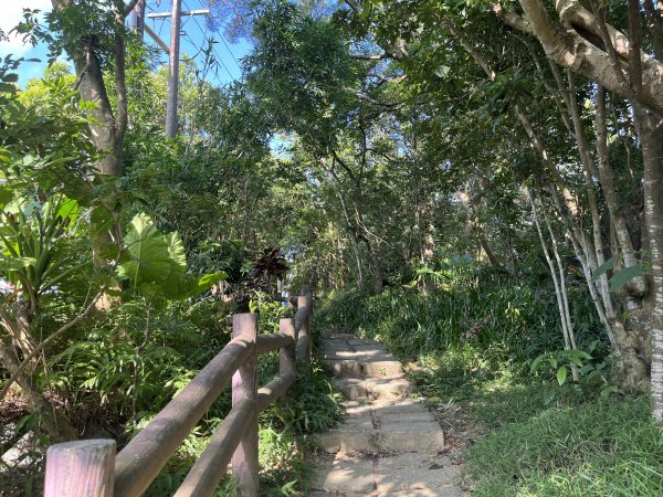 [微笑山線_第五段] 2025_0705 天上山系_五尖山2830301