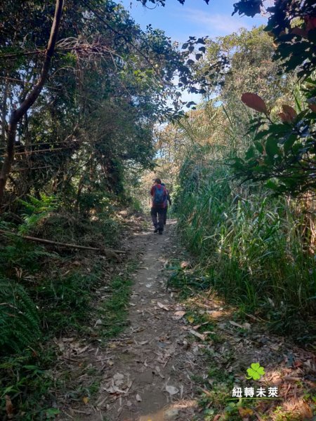 崁頭山漫遊818181
