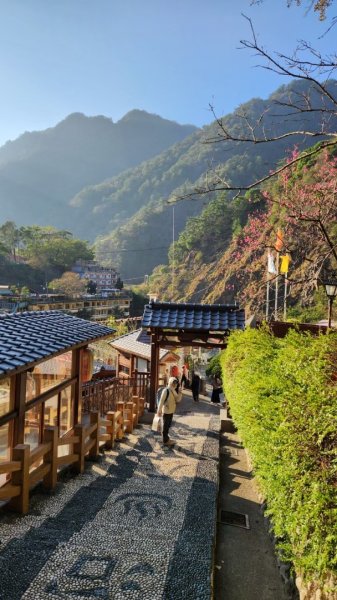 【中級山】谷關七雄波津加山2742320