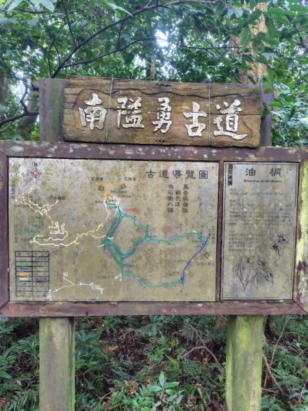 鳳鳴古道 鳳鳴山 南隘勇（南長城）古道 三湖山 八達嶺（龍骨）古道 綠色古道 延平古道2975220