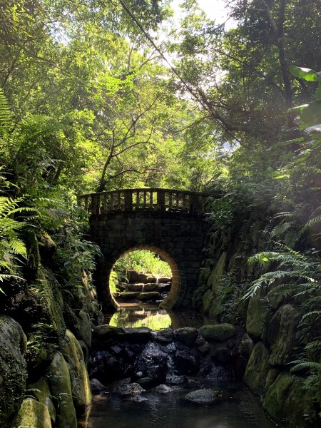 201001-四獸山縱走（虎山、豹山、獅山、象山）1372870