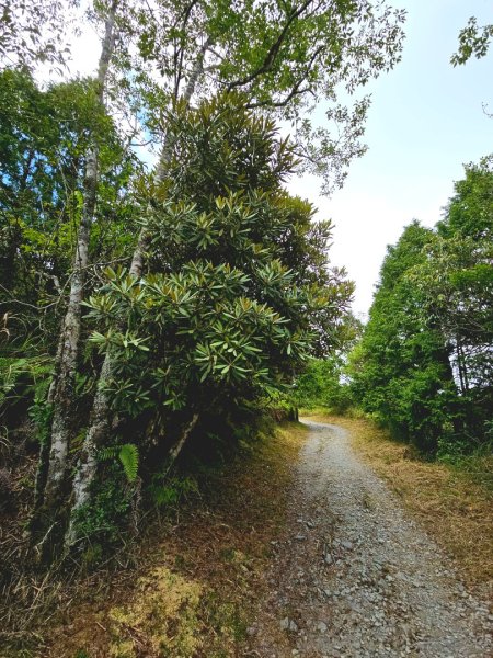 翠峰湖環山步道-(宜蘭)臺灣百大必訪步道2827551
