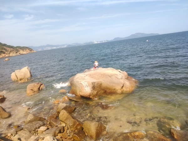 香港長洲鳥2504646