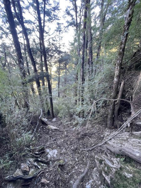 干卓萬橫斷 2024 11/29 四天三夜2865568