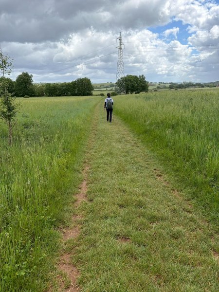 Via Francigena D2: Colle di Val d’Elsa-Monteriggio3072727