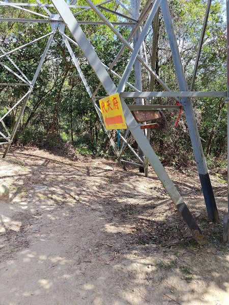 20260315金面山3015562