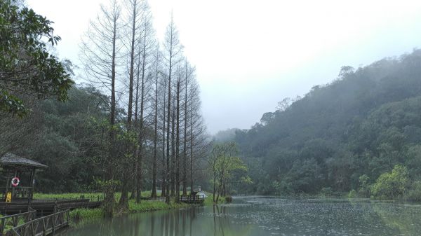 福山植物園+合歡尖山289428