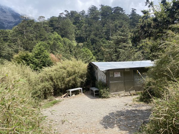 啟動高山渡假模式  奇萊主北三日遊2795336