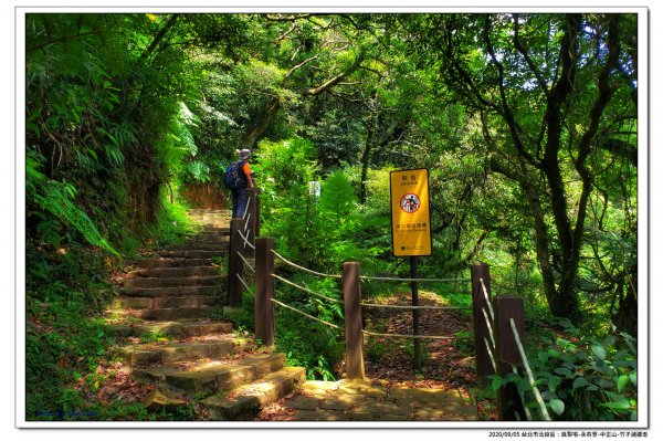 北投鳳梨宅-永春寮-中正山-竹子湖連走1092799