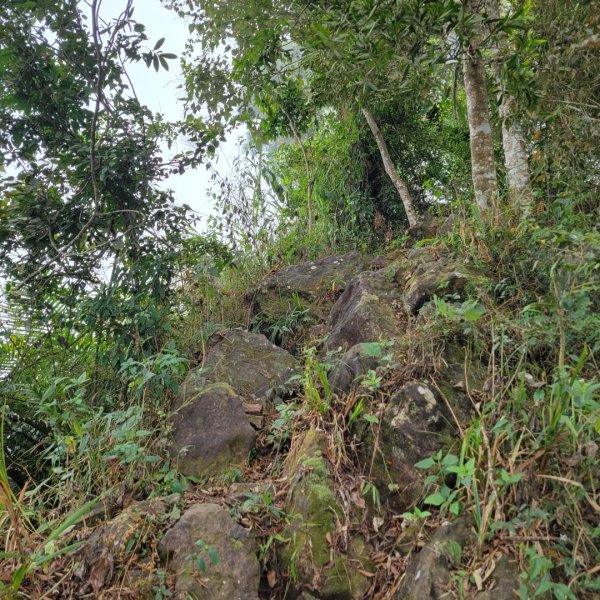 三寶山登山步道1893710